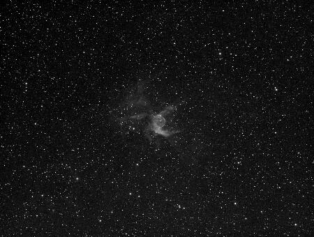NGC2359, Thor's helmet, 2022-03-03, 73x200L, APO100Q, H-alpha 7nm, ASI1600MM-Cool.jpg